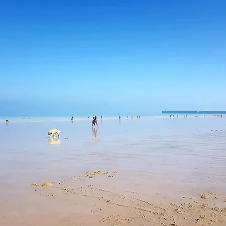 Le Madison, Atypique - Netflix Dieppe