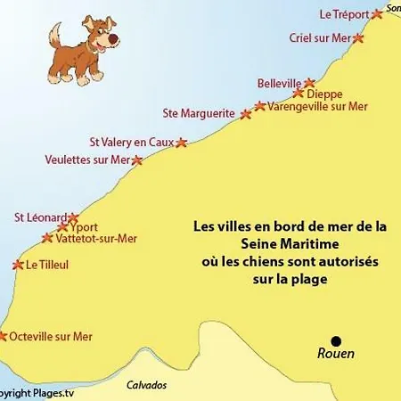 Le Madison, Atypique - Netflix Lägenhet Dieppe